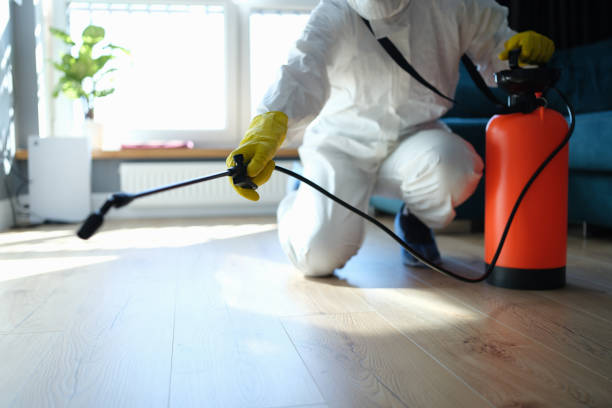 Reliable Odor Removal contractor in North Bend, OR by Trauma Clean Pros